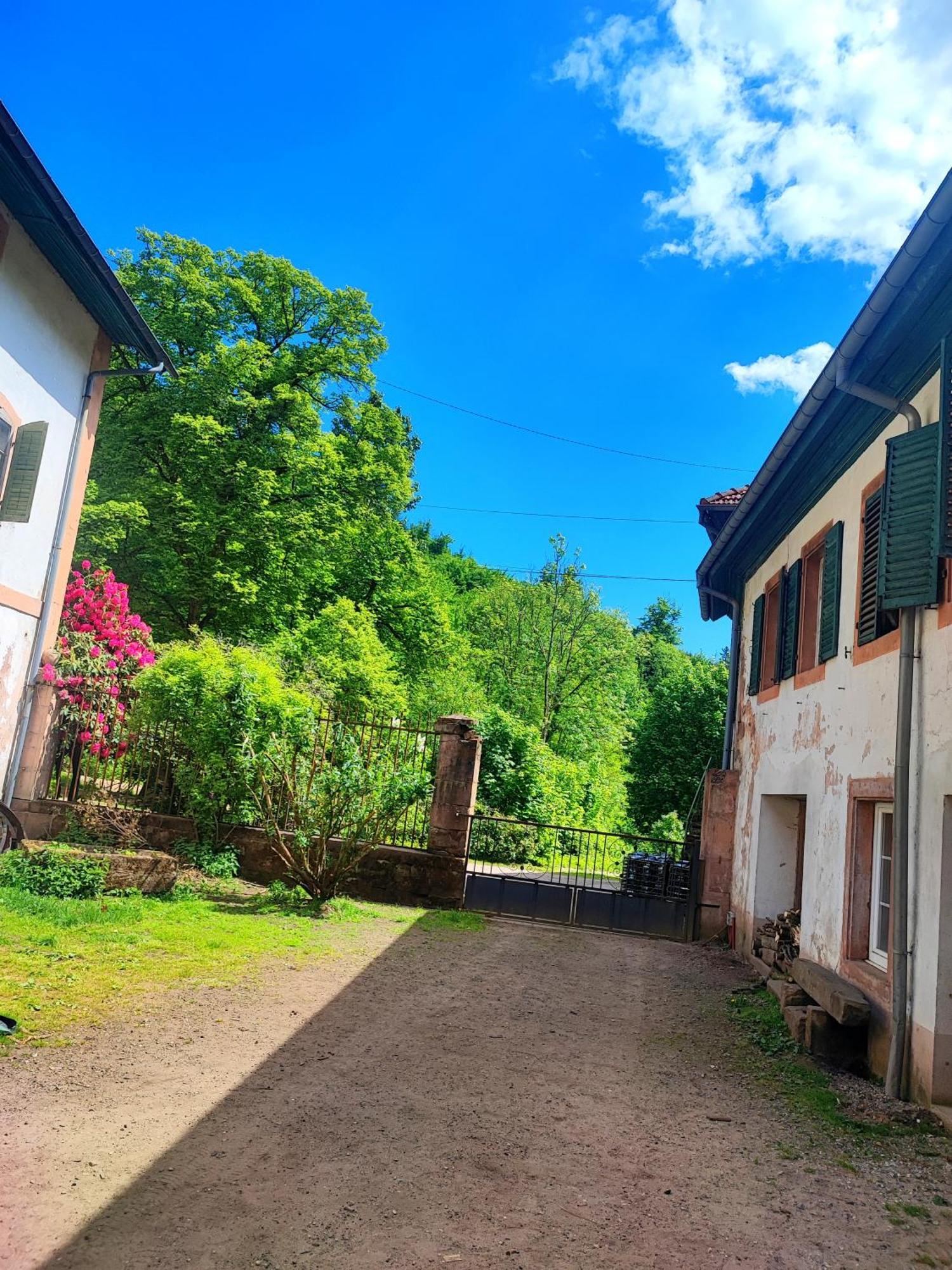 La Demeure Des Forges Apartamento Grandfontaine  Exterior foto