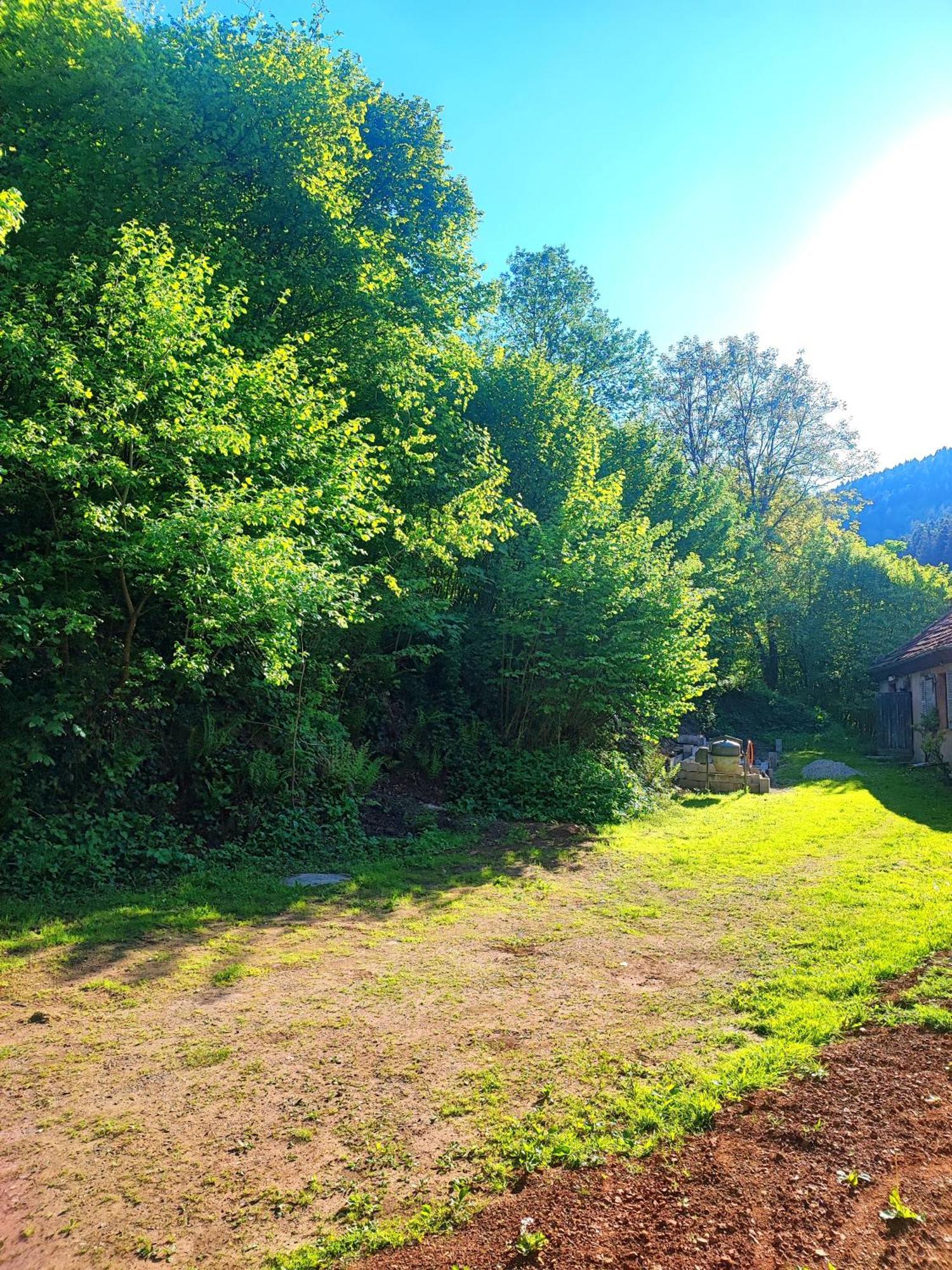 La Demeure Des Forges Apartamento Grandfontaine  Exterior foto
