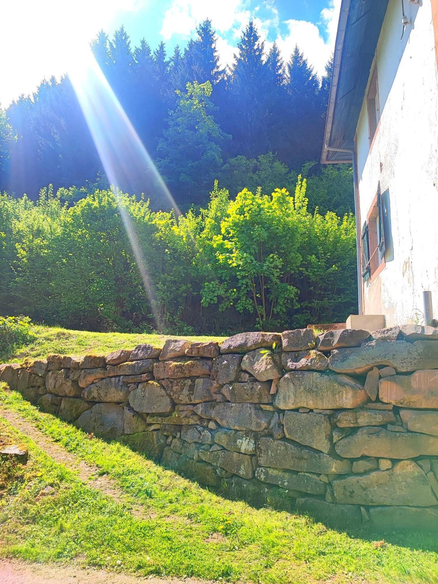 La Demeure Des Forges Apartamento Grandfontaine  Exterior foto