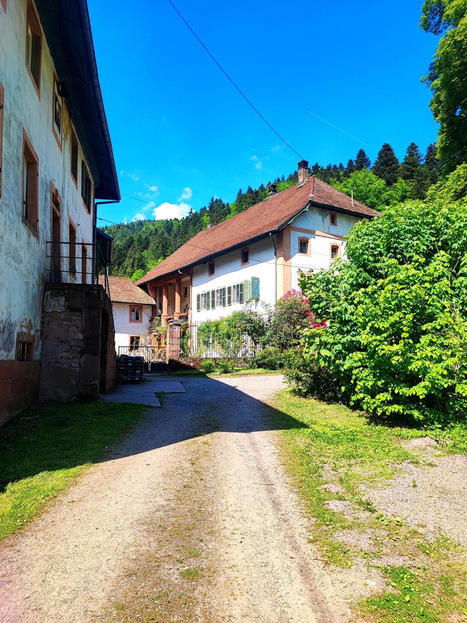 La Demeure Des Forges Apartamento Grandfontaine  Exterior foto
