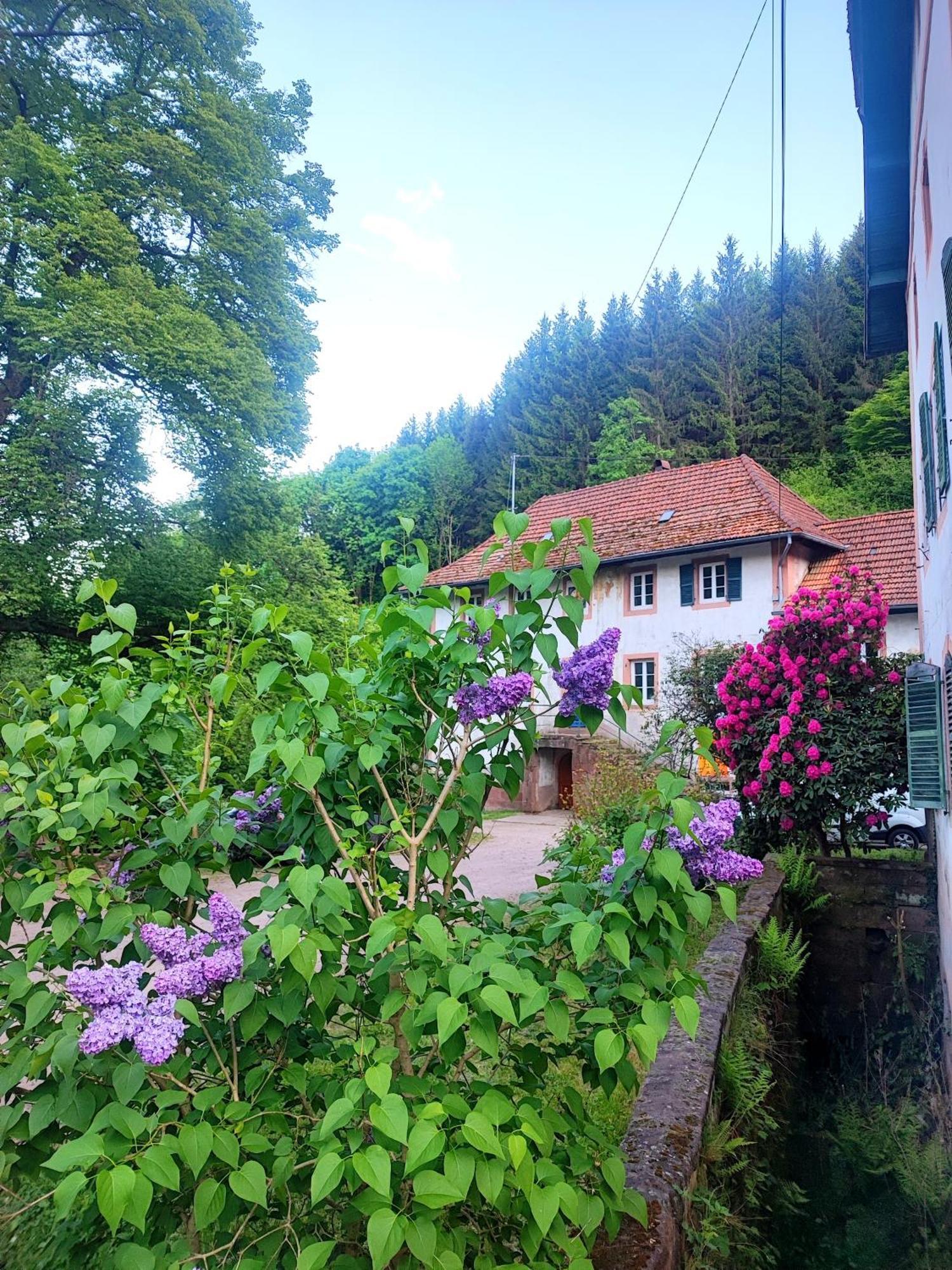 La Demeure Des Forges Apartamento Grandfontaine  Exterior foto